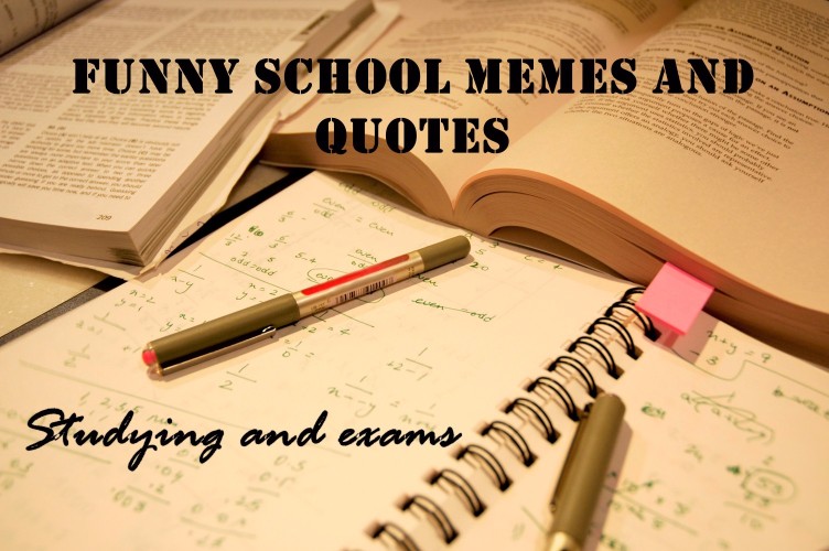 funny study quotes for students